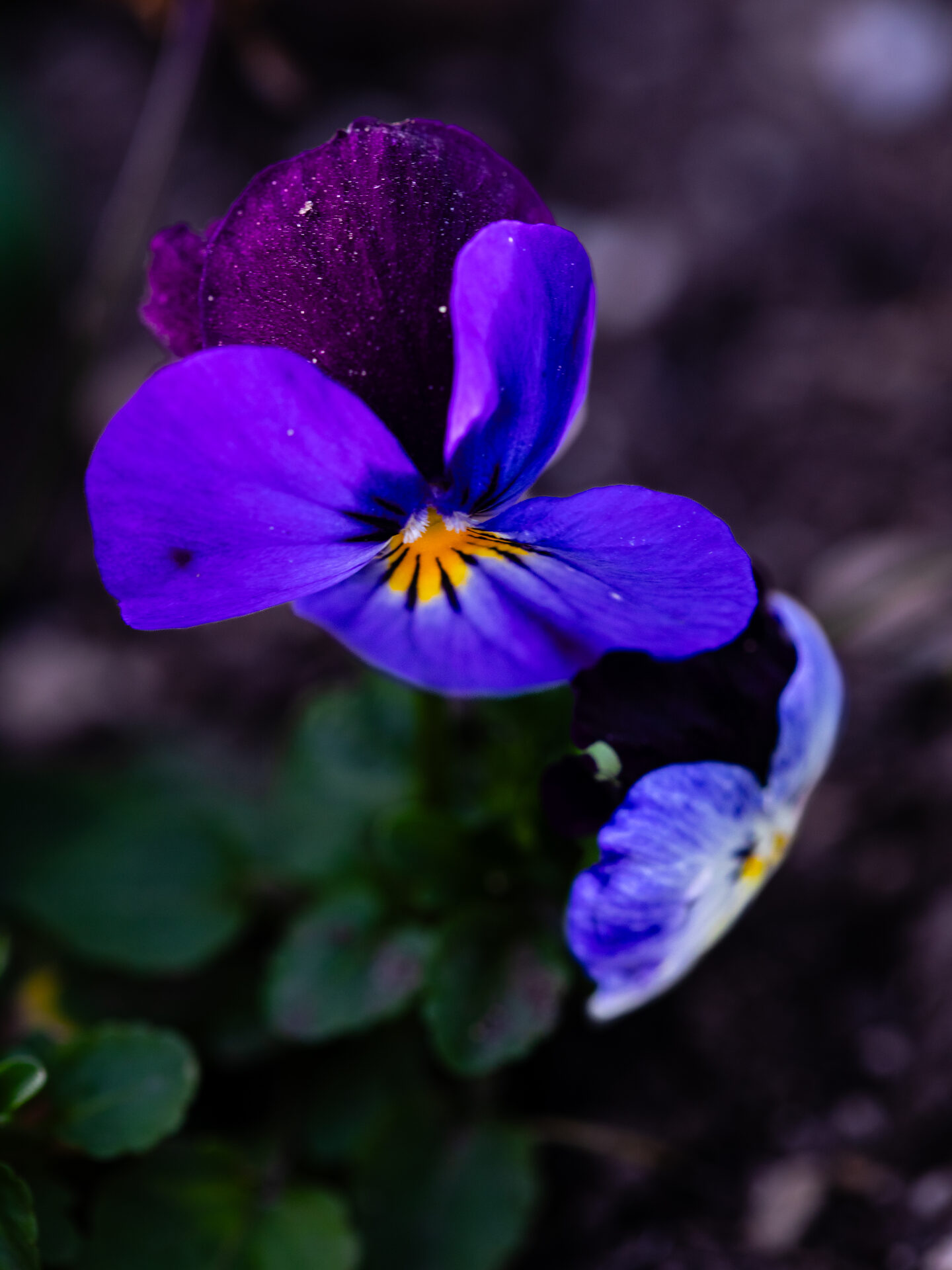 Nature